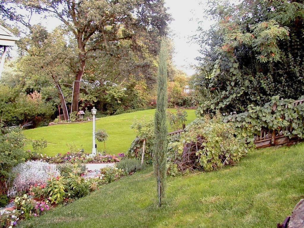 Robin'S Nest Bed & Breakfast San Andreas Exterior foto